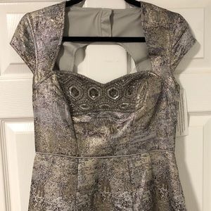 Silver Formal Gown/Dress